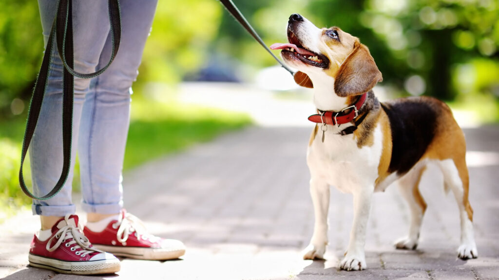Фото: iStock.