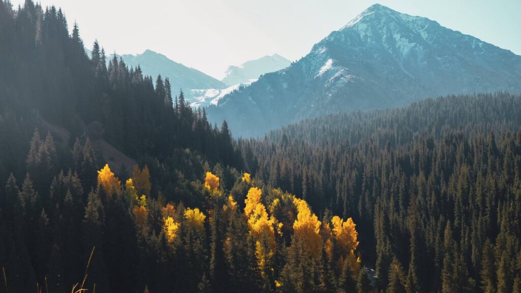 Фото: Unsplash