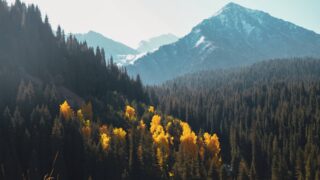 Сегодня в Астане и Шымкенте ожидается погода без осадков, а в Алматы — гроза