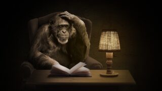 Угандские ученые нашли систему общения у диких шимпанзе