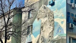 В Алматы восстановят мурал с барсом