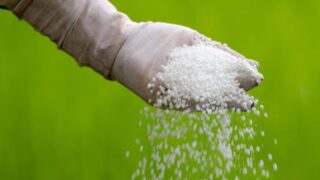 В Казахстане утвержден список запрещенных к вывозу удобрений