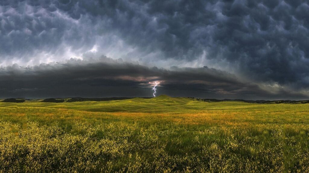 Фото: ozon.kz.