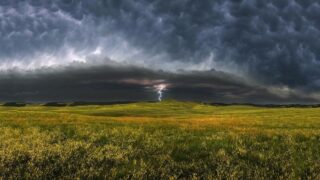 В СКО мужчина и лошадь погибли от удара молнии