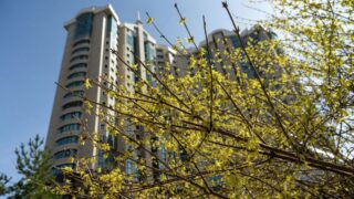 В трёх городах Казахстана ожидаются неблагоприятные метеоусловия в субботу