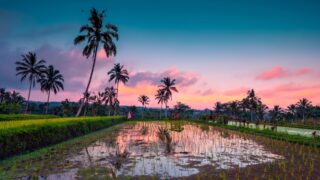 Власти Бали намерены ввести очередь на въезд, в том числе и для казахстанцев