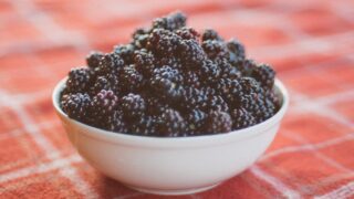 Яблоки и ежевика в рационе – ключ к борьбе со старческой астенией — ученные США