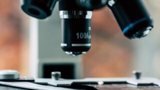 Японские ученные обнаружили молекулу для ускоренной регенерации организма после инсульта