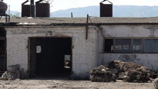 Завод по переработке овечьих шкур в Алматинской области приостановлен из-за трупного запаха