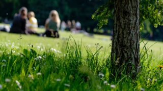 Аким Шымкента опроверг слухи о передаче дендропарка частникам