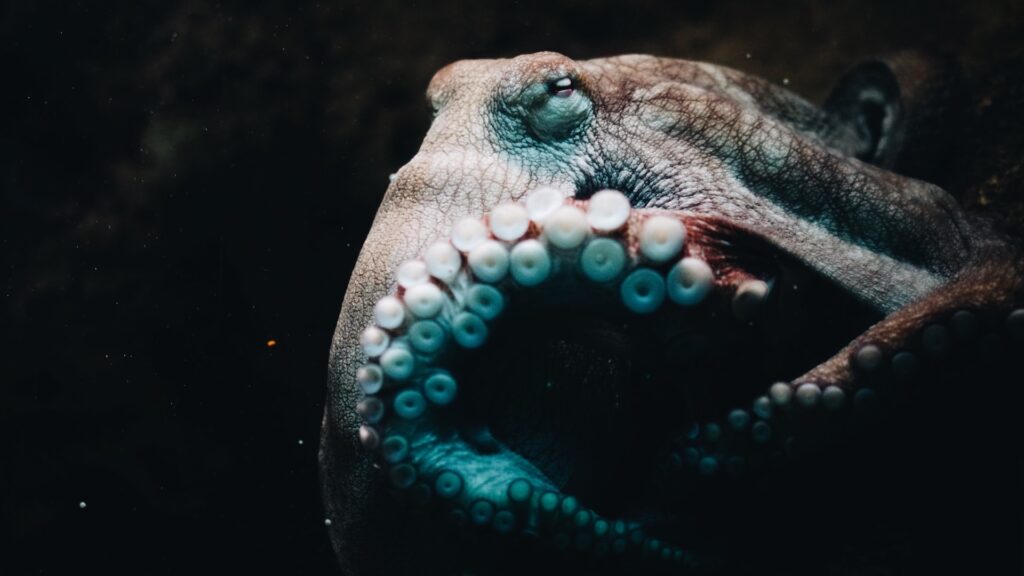 Фото: Unsplash