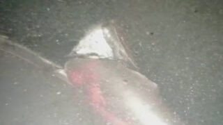 Дайверский ботинок найден возле места подрыва «Северных потоков»