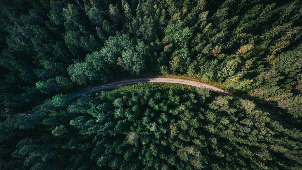 Фото: Unsplash