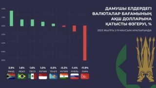 Динамика курсов валют развивающихся стран: кто укрепился, а кто ослаб?