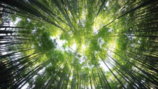 Эксперты обсудили курс на Net-Zero на Зеленой неделе ЕС