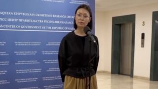 Это не слабость – слезы на фоне пожара объяснила глава Минэкологии