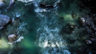 Генпрокуратура занимается вопросом недостаточного объема воды в пойме Иртыша в этом году