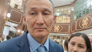 Глава МЧС заявил, что на тушение сухостоя на окраине Астаны может уйти две недели