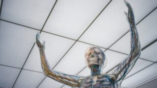 Иммунитет мужчин сильнее женского с возрастом: исследование