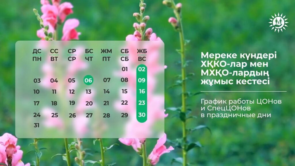 Фото: правительство для граждан