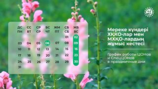 Как работают ЦОНы и спецЦОНы в праздники — Курбан айт и День столицы