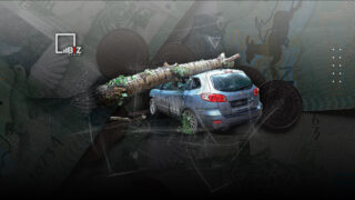 Акимат Алматы дал инструкции по возмещению ущерба поврежденных автомобилей от упавших деревьев