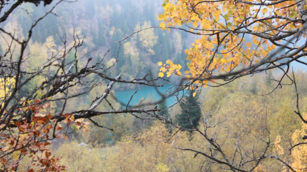 Фото: © Bizmedia.kz