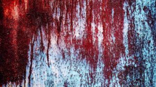 Кровь и биоматериалы сливали в канализацию скотобойни в Шымкенте