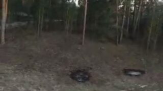 Лес в области Абай подожгли? Компетентные органы расследуют предположение