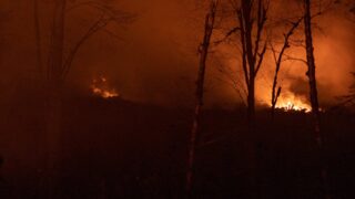Лесные пожары удалось потушить в нескольких районах ВКО