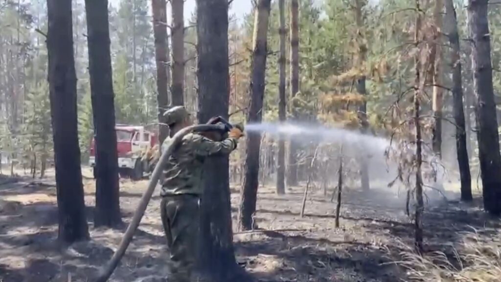 Фото: кадр из видео