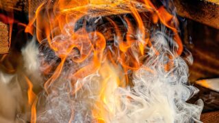 Минтруда РК проверит «Семей орманы»