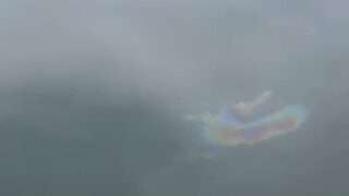 На Бухтарминском водохранилище обнаружили нефтесодержащее пятно