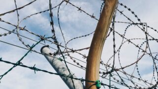 Начальник полиции и его пособник осуждены за мошенничество и подстрекательство к даче взятки