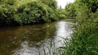 Найден новый способ очистки сточных вод и опреснения морской воды