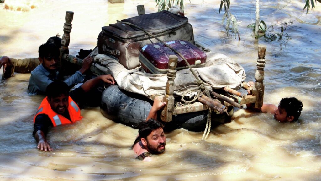 Фото: AP Photo / Muhammad Sajjad