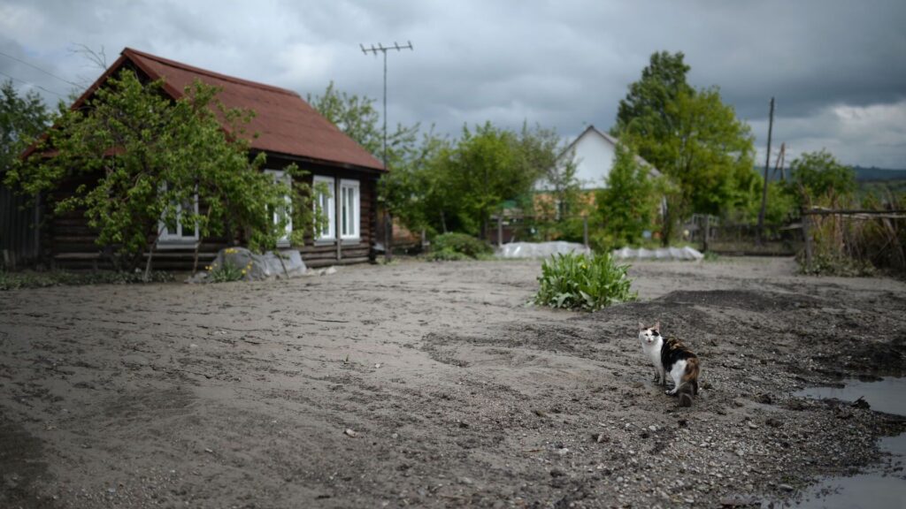 Фото: © Sputnik / Александр Кряжев
