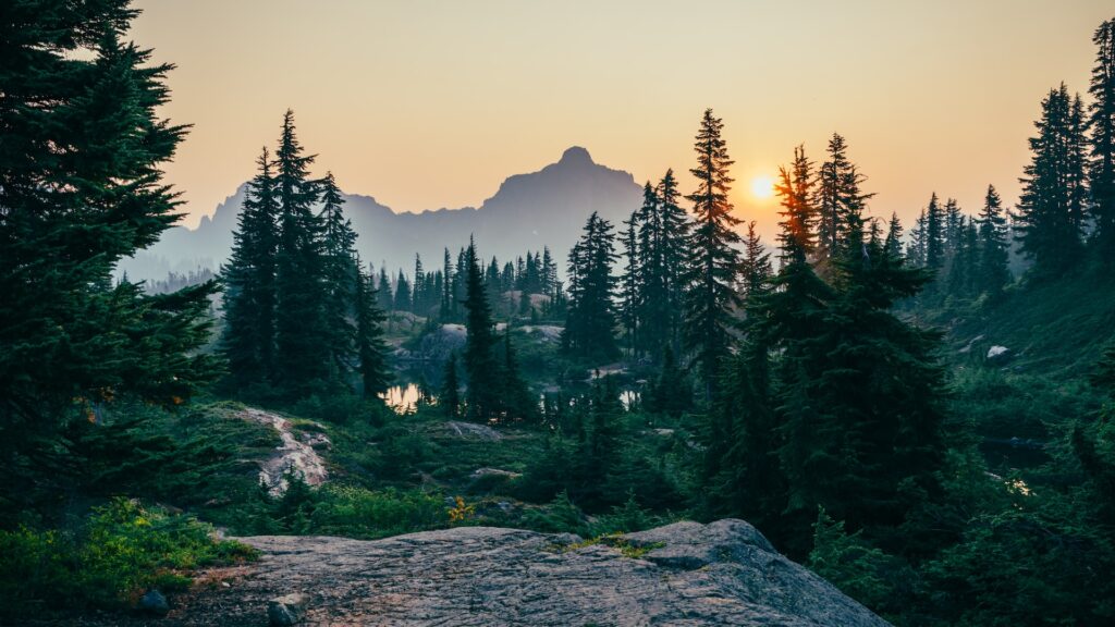 Фото: Sergei A / Unsplash