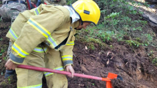 Огонь в нацпарке Алматинской области «Көлсай көлдері» быстро потушен пожарными