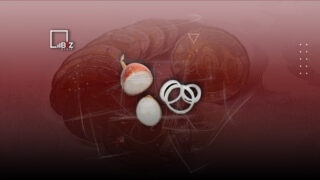 Опять бледно выглядеть будем – депутат раскритиковал МСХ за рост цен на лук в межсезонье