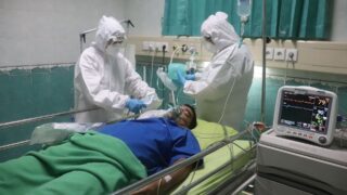 ВОЗ предупреждает о вирусе чикунгунья: 5,6 млрд человек в опасности