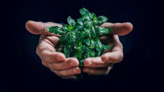 Повышение осведомленности — ключ к устойчивой практике переработки отходов