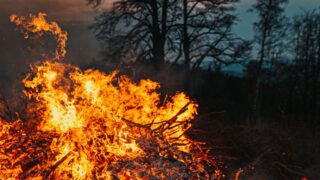 Представители Минтруда отправились в Абайскую область в составе спецкомиссии