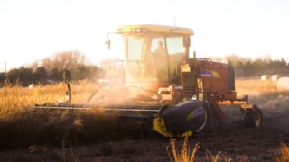 Работники в сфере АПК остаются одними из самых низкооплачиваемых по стране и уходят из отрасли