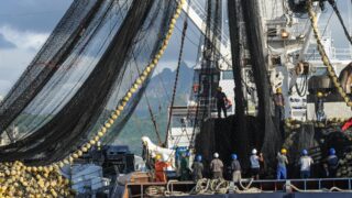 Рекордные суммы инвестируются в рыбное хозяйство Казахстана