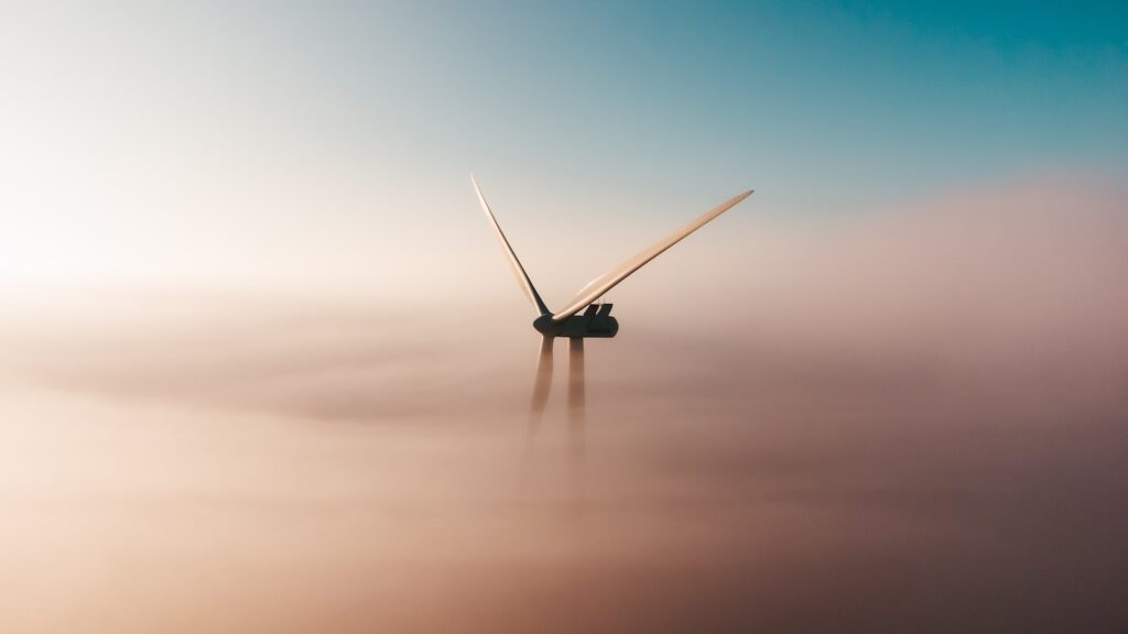 Фото: Unsplash