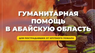 Сбор гумпомощи для пострадавших от пожара в области Абай начался в регионах