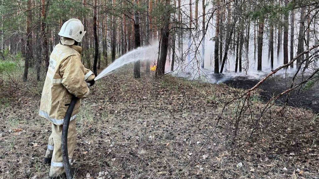 Фото: МЧС РК
