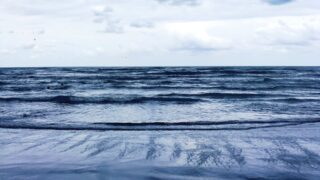 Стала известна предварительная причина почернения Каспийского моря у берегов Актау