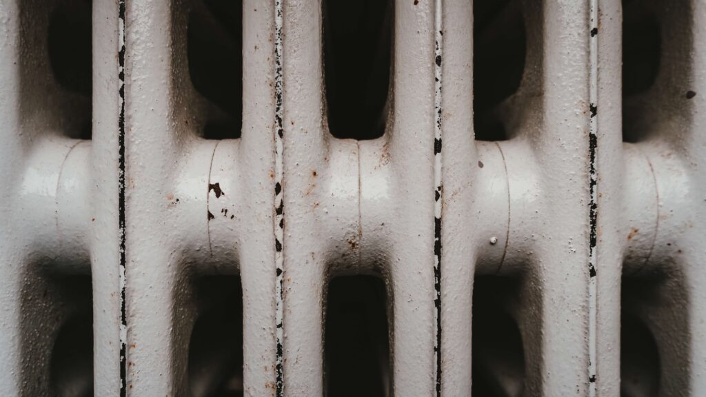 Фото: Unsplash